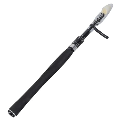 Portable Travel Fishing Rod