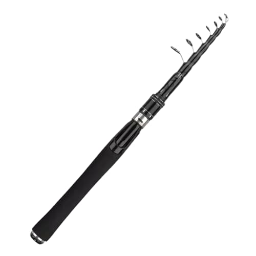 Portable Travel Fishing Rod