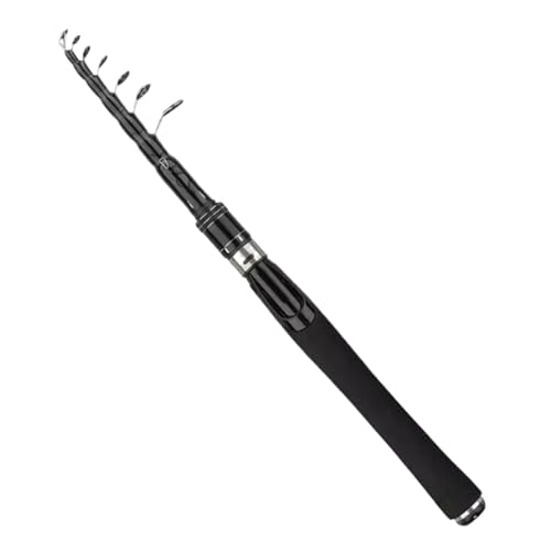 Portable Travel Fishing Rod