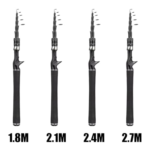 Portable Travel Fishing Rod