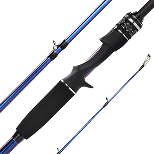 Portable Casting Rod