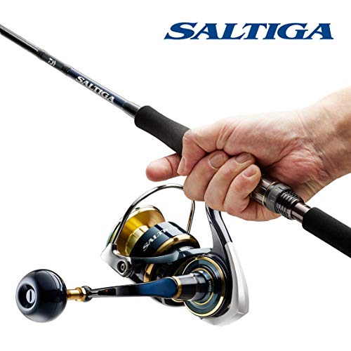 Daiwa 2020 Saltiga Reel