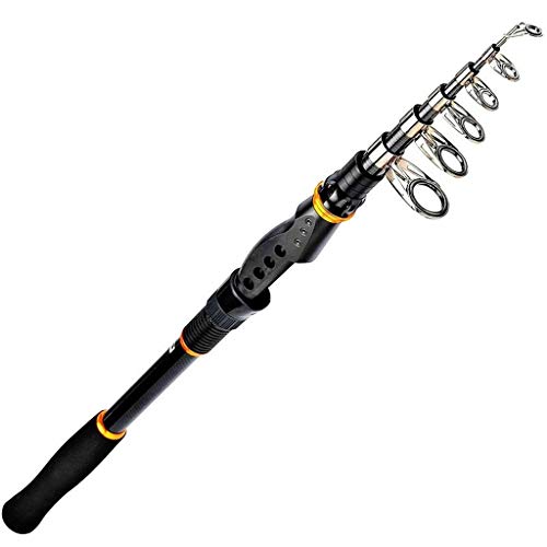 Spinning Fishing Rod