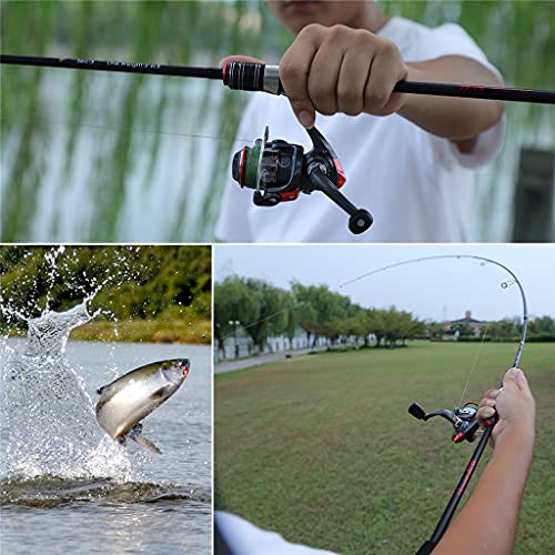 3-Section Fishing Pole