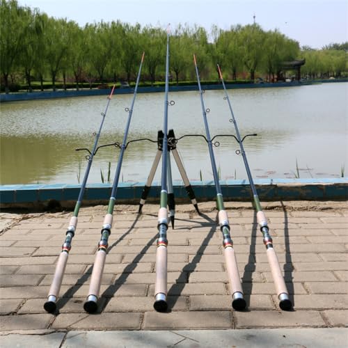 Carbon Carp & Bass Rod